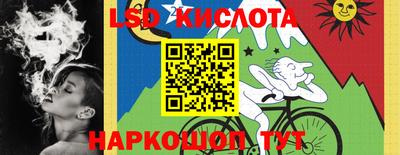 эйфоретик Гатчина