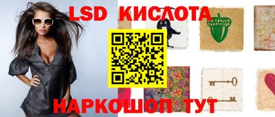 эйфоретик Гатчина