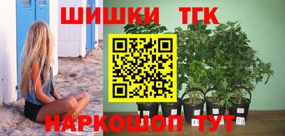 индика Гагарин