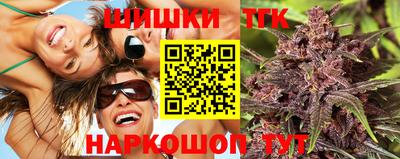 индика Гагарин
