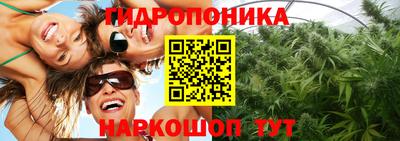 индика Гагарин
