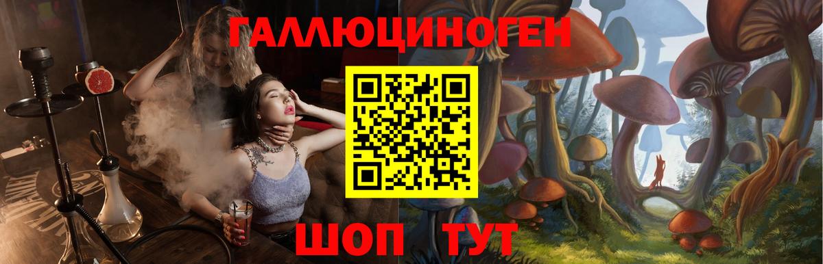 Псилоцибиновые грибы ЛСД Елабуга